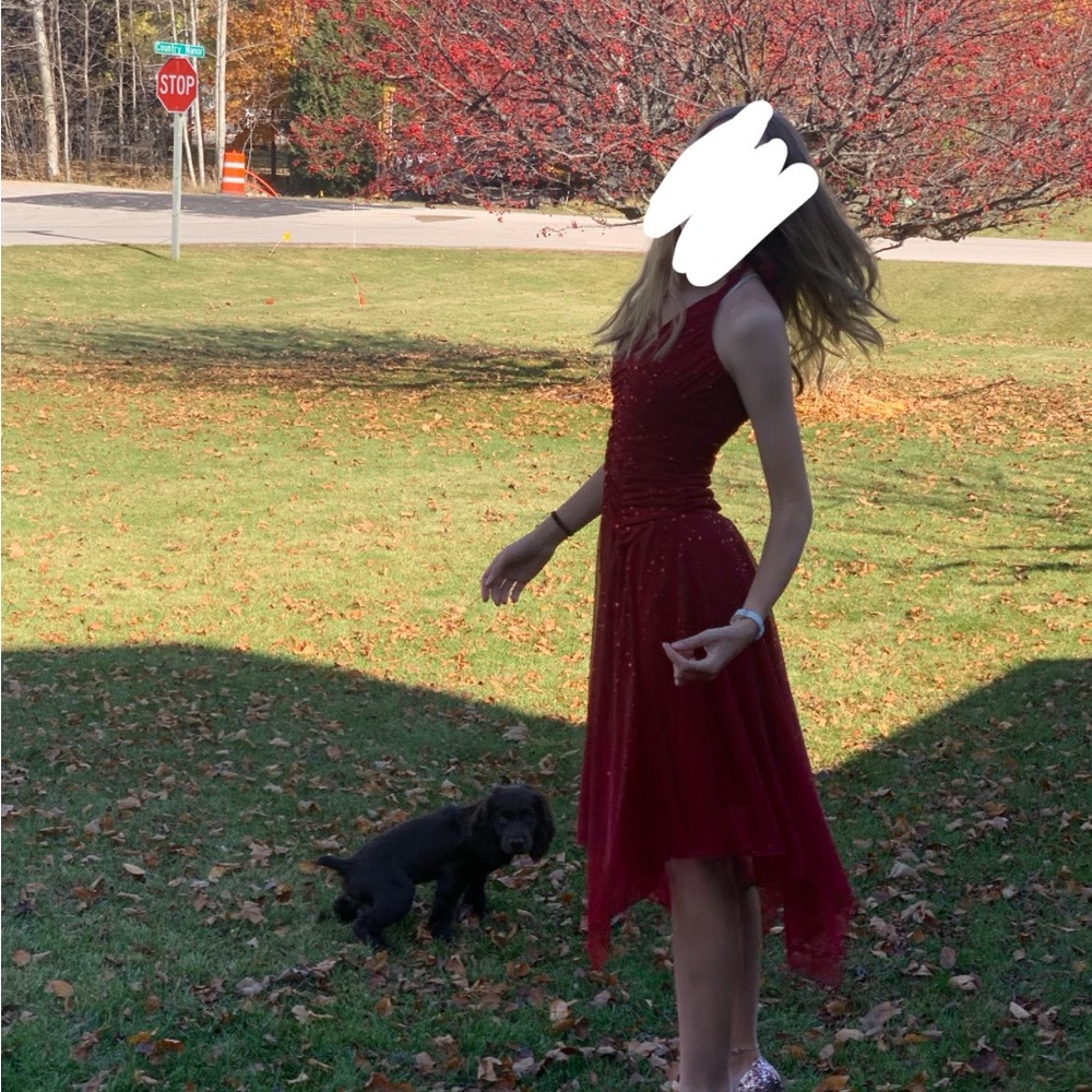 City Triangles Red Dress with Glitter Accents Woman’s Size S